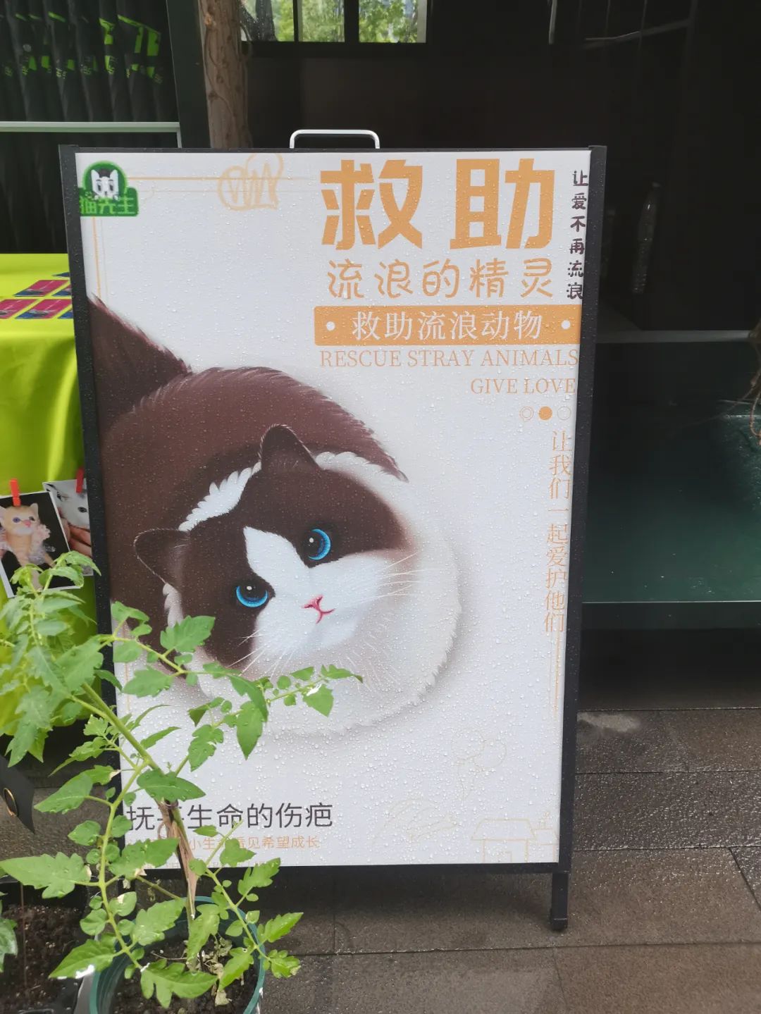 1661505449286665.jpg 垃圾分類運(yùn)營方案、智能分類設(shè)備廠家.jpg